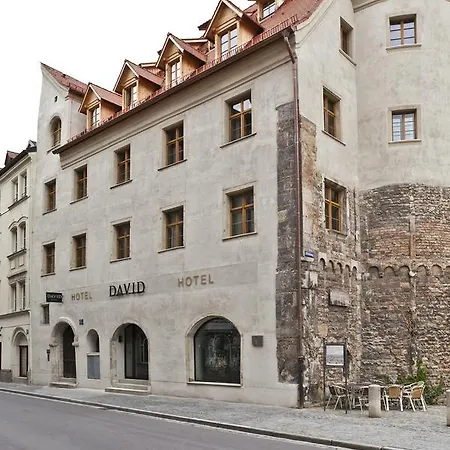 Hotel David an der Donau-2